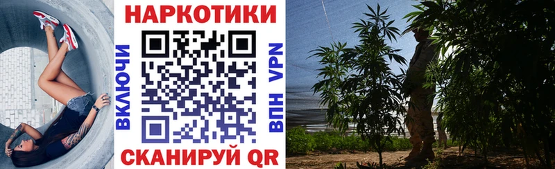 Где купить Клинцы COCAIN  АМФЕТАМИН  Псилоцибиновые грибы  Каннабис  Меф  mega вход  A PVP 