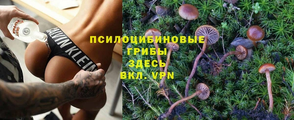 тгк Богородск