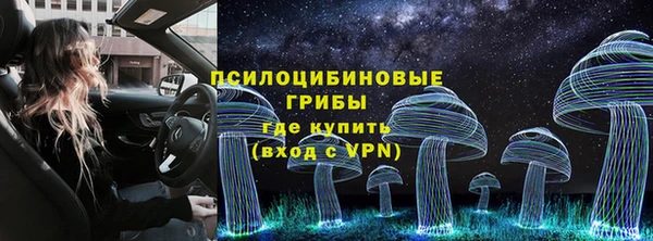COCAINE Богданович