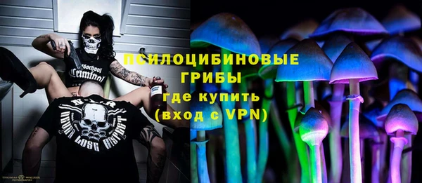 МДМА Богородицк